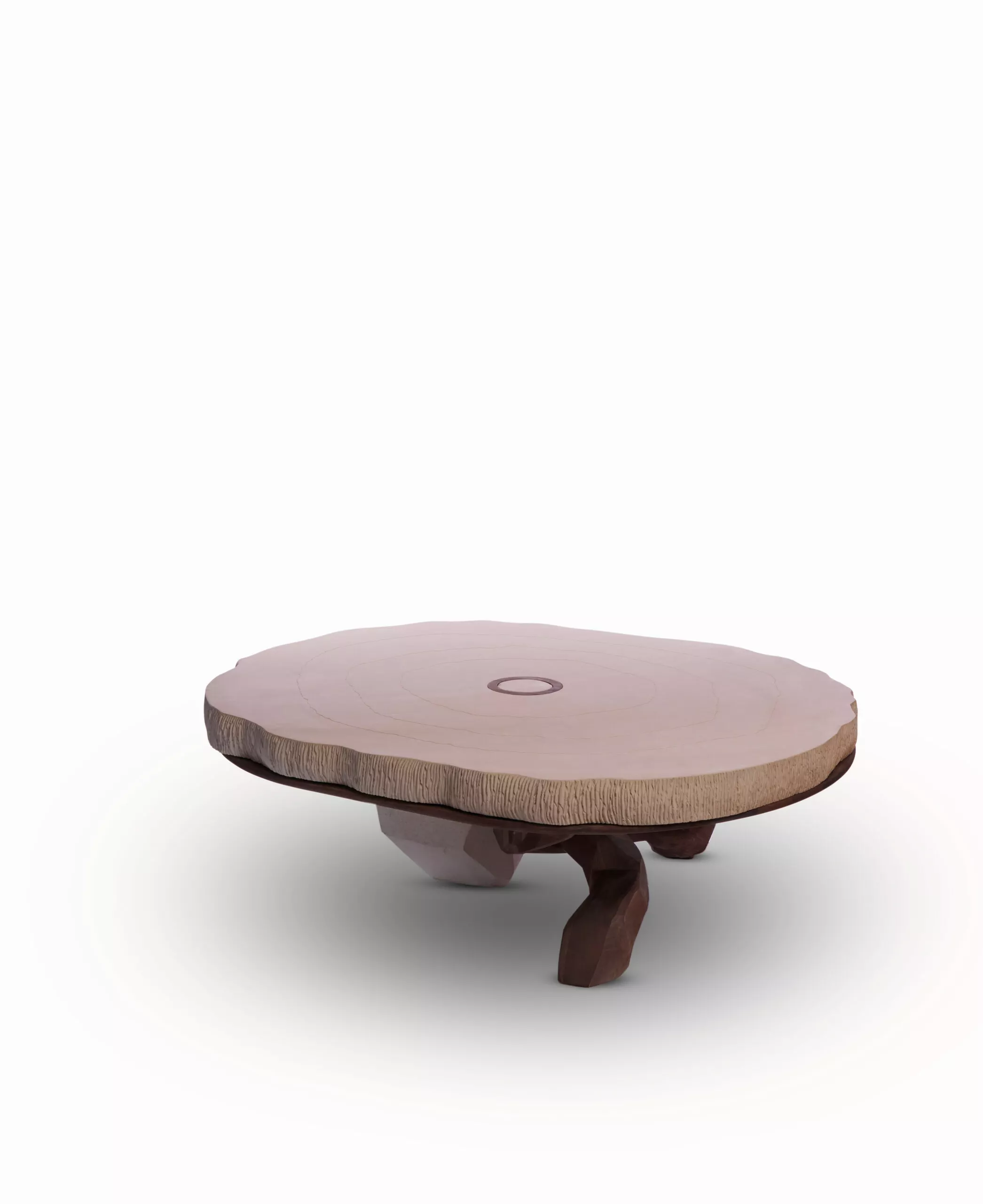 Table Roots de Capucine Damour, vue 5